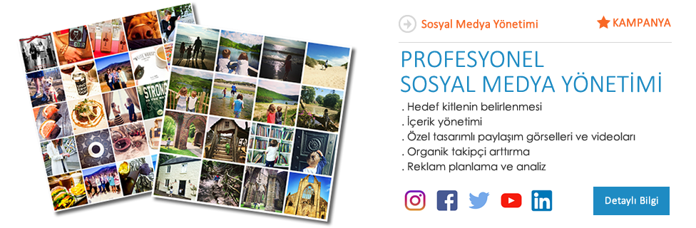 sosyal medya y�netimi